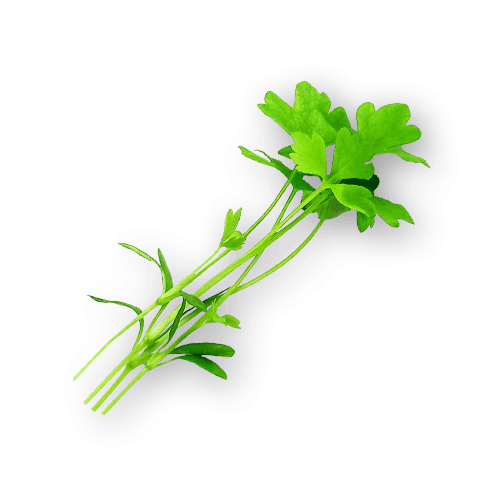 Micro Celery